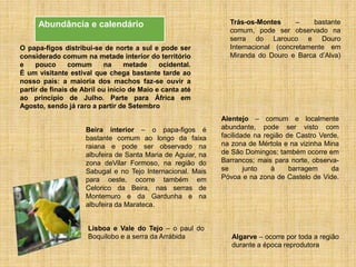 O papa-figos distribui-se de norte a sul e pode ser
considerado comum na metade interior do território
e pouco comum na metade ocidental.
É um visitante estival que chega bastante tarde ao
nosso país: a maioria dos machos faz-se ouvir a
partir de finais de Abril ou início de Maio e canta até
ao princípio de Julho. Parte para África em
Agosto, sendo já raro a partir de Setembro
Abundância e calendário Trás-os-Montes – bastante
comum, pode ser observado na
serra do Larouco e Douro
Internacional (concretamente em
Miranda do Douro e Barca d’Alva)
Algarve – ocorre por toda a região
durante a época reprodutora
Lisboa e Vale do Tejo – o paul do
Boquilobo e a serra da Arrábida
Beira interior – o papa-figos é
bastante comum ao longo da faixa
raiana e pode ser observado na
albufeira de Santa Maria de Aguiar, na
zona deVilar Formoso, na região do
Sabugal e no Tejo Internacional. Mais
para oeste, ocorre também em
Celorico da Beira, nas serras de
Montemuro e da Gardunha e na
albufeira da Marateca.
Alentejo – comum e localmente
abundante, pode ser visto com
facilidade na região de Castro Verde,
na zona de Mértola e na vizinha Mina
de São Domingos; também ocorre em
Barrancos; mais para norte, observa-
se junto à barragem da
Póvoa e na zona de Castelo de Vide.
 
