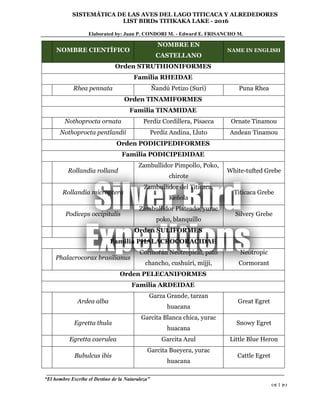 SISTEMÁTICA DE LAS AVES DEL LAGO TITICACA Y ALREDEDORES
LIST BIRDs TITIKAKA LAKE - 2016
Elaborated by: Juan P. CONDORI M. - Edward E. FRISANCHO M.
“El hombre Escribe el Destino de la Naturaleza”
 1 
NOMBRE CIENTÍFICO
NOMBRE EN
CASTELLANO
NAME IN ENGLISH
Orden STRUTHIONIFORMES
Familia RHEIDAE
Rhea pennata Ñandú Petizo (Suri) Puna Rhea
Orden TINAMIFORMES
Familia TINAMIDAE
Nothoprocta ornata Perdiz Cordillera, Pisacca Ornate Tinamou
Nothoprocta pentlandii Perdiz Andina, Lluto Andean Tinamou
Orden PODICIPEDIFORMES
Familia PODICIPEDIDAE
Rollandia rolland
Zambullidor Pimpollo, Poko,
chirote
White-tufted Grebe
Rollandia microptera
Zambullidor del Titicaca,
Keñola
Titicaca Grebe
Podiceps occipitalis
Zambullidor Plateado, yurac
poko, blanquillo
Silvery Grebe
Orden SULIFORMES
Familia PHALACROCORACIDAE
Phalacrocorax brasilianus
Cormorán Neotropical, pato
chancho, cushuiri, mijji,
Neotropic
Cormorant
Orden PELECANIFORMES
Familia ARDEIDAE
Ardea alba
Garza Grande, tarzan
huacana
Great Egret
Egretta thula
Garcita Blanca chica, yurac
huacana
Snowy Egret
Egretta caerulea Garcita Azul Little Blue Heron
Bubulcus ibis
Garcita Bueyera, yurac
huacana
Cattle Egret
 