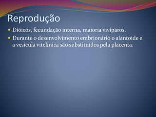 Reprodução
 Dióicos, fecundação interna, maioria vivíparos.
 Durante o desenvolvimento embrionário o alantoide e
a vesícula vitelínica são substituídos pela placenta.
 