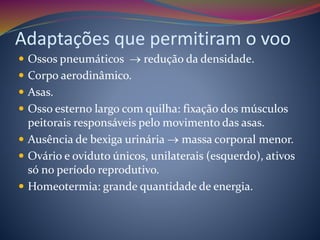 Adaptações que permitiram o voo
 Ossos pneumáticos  redução da densidade.
 Corpo aerodinâmico.
 Asas.
 Osso esterno largo com quilha: fixação dos músculos
peitorais responsáveis pelo movimento das asas.
 Ausência de bexiga urinária  massa corporal menor.
 Ovário e oviduto únicos, unilaterais (esquerdo), ativos
só no período reprodutivo.
 Homeotermia: grande quantidade de energia.
 