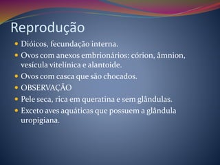 Reprodução
 Dióicos, fecundação interna.
 Ovos com anexos embrionários: córion, âmnion,
vesícula vitelínica e alantoide.
 Ovos com casca que são chocados.
 OBSERVAÇÃO
 Pele seca, rica em queratina e sem glândulas.
 Exceto aves aquáticas que possuem a glândula
uropigiana.
 