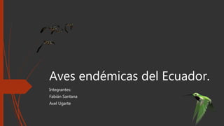 Aves endémicas del Ecuador.
Integrantes:
Fabián Santana
Axel Ugarte
 
