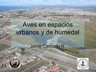 Aves en espacios urbanos y de humedal Jaime Cárcamo N. 