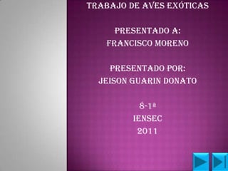 TRABAJO DE AVES EXÓTICAS

     PRESENTADO A:
   FRANCISCO MORENO

    PRESENTADO POR:
  JEISON GUARIN DONATO

           8-1ª
         IENSEC
          2011
 