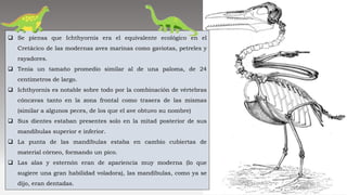  Se piensa que Ichthyornis era el equivalente ecológico en el
Cretácico de las modernas aves marinas como gaviotas, petreles y
rayadores.
 Tenía un tamaño promedio similar al de una paloma, de 24
centímetros de largo.
 Ichthyornis es notable sobre todo por la combinación de vértebras
cóncavas tanto en la zona frontal como trasera de las mismas
(similar a algunos peces, de los que el ave obtuvo su nombre)
 Sus dientes estaban presentes solo en la mitad posterior de sus
mandíbulas superior e inferior.
 La punta de las mandíbulas estaba en cambio cubiertas de
material córneo, formando un pico.
 Las alas y esternón eran de apariencia muy moderna (lo que
sugiere una gran habilidad voladora), las mandíbulas, como ya se
dijo, eran dentadas.
 