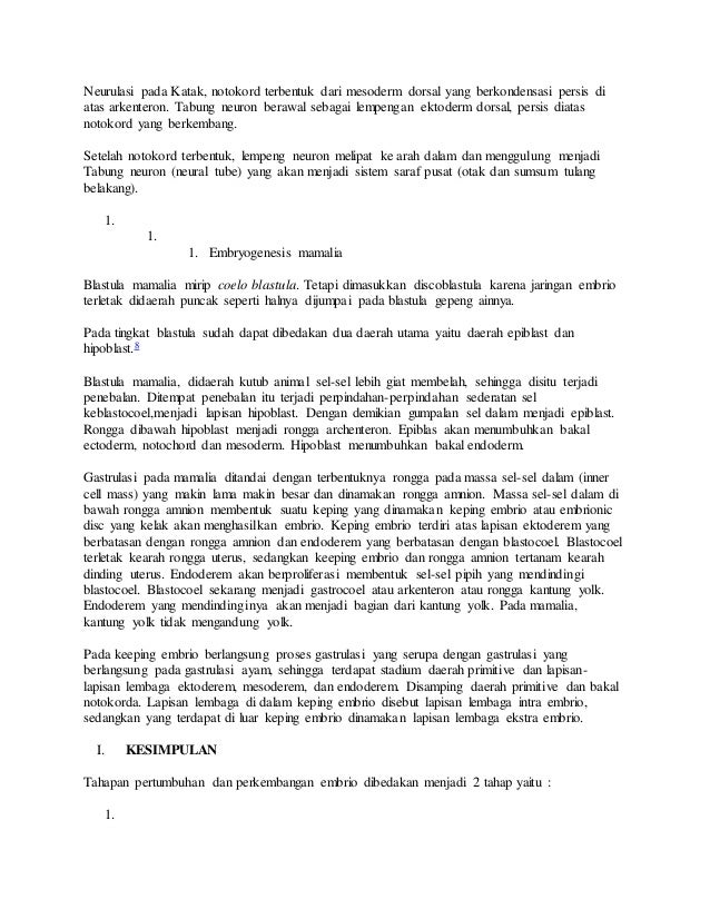 Apakah Kuning Telur Tempat Dimana Embrio Terbentuk - Seputar Bentuk