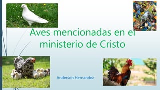 Aves mencionadas en el
ministerio de Cristo
Anderson Hernandez
 
