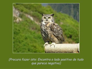 (Procura fazer isto: Encontra o lado positivo de tudo que parece negativo) 