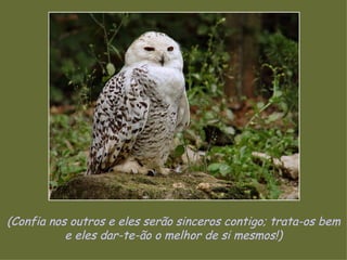 (Confia nos outros e eles serão sinceros contigo; trata-os bem e eles dar-te-ão o melhor de si mesmos!) 