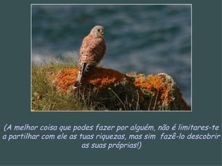 (A melhor coisa que podes fazer por alguém, não é limitares-te a partilhar com ele as tuas riquezas, mas sim  fazê-lo descobrir as suas próprias!) 