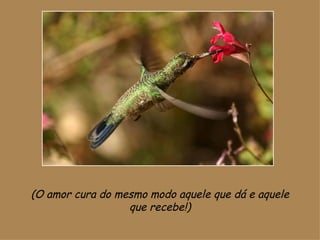 (O amor cura do mesmo modo aquele que dá e aquele que recebe!) 