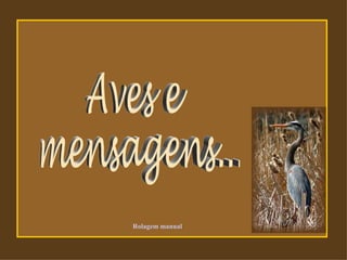 Aves e mensagens...  Rolagem manual 