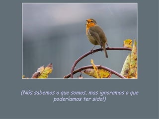 (Nós sabemos o que somos, mas ignoramos o que poderíamos ter sido!) 