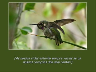 (As nossas vidas estarão sempre vazias se os nossos corações dão sem contar!) 