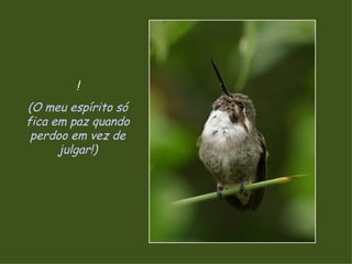 ! (O meu espírito só fica em paz quando perdoo em vez de julgar!) 