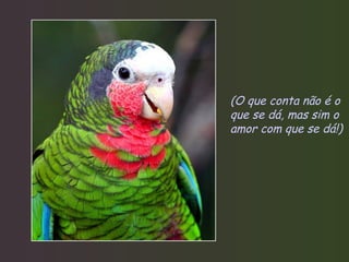 (O que conta não é o que se dá, mas sim o amor com que se dá!) 