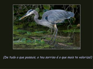 (De tudo o que possuis, o teu sorriso é o que mais te valoriza!)  