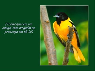 (Todos querem um amigo, mas ninguém se preocupa em sê-lo!) 