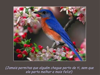 (Jamais permitas que alguém chegue perto de ti, sem que ele parta melhor e mais feliz!)   