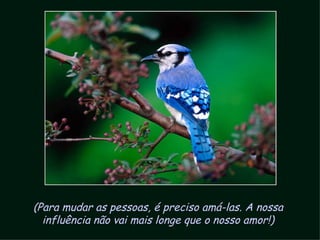 (Para mudar as pessoas, é preciso amá-las. A nossa influência não vai mais longe que o nosso amor!) 