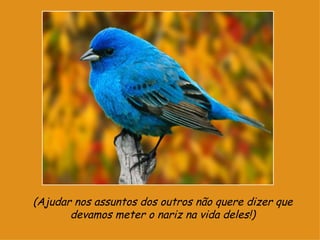 (Ajudar nos assuntos dos outros não quere dizer que devamos meter o nariz na vida deles!) 