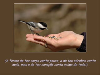 (A forma do teu corpo conta pouco, a do teu cérebro conta mais, mas a do teu coração conta acima de tudo!). 