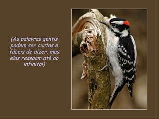 (As palavras gentis podem ser curtas e fáceis de dizer, mas elas ressoam até ao infinito!) 