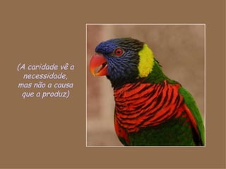 (A caridade vê a necessidade, mas não a causa que a produz) 