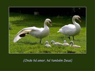 (Onde há amor, há também Deus) 