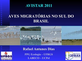 Rafael Antunes Dias PPG Ecologia – UFRGS LABECO – UCPel AVISTAR 2011 AVES MIGRATÓRIAS NO SUL DO BRASIL 