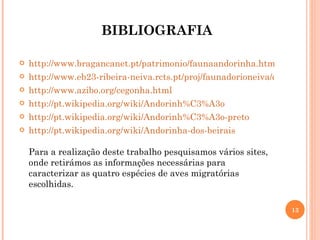 BIBLIOGRAFIA http://www.bragancanet.pt/patrimonio/faunaandorinha.htm http://www.eb23-ribeira-neiva.rcts.pt/proj/faunadorioneiva/cuco/index.htm http://www.azibo.org/cegonha.html http://pt.wikipedia.org/wiki/Andorinh%C3%A3o http://pt.wikipedia.org/wiki/Andorinh%C3%A3o-preto http://pt.wikipedia.org/wiki/Andorinha-dos-beirais Para a realização deste trabalho pesquisamos vários sites, onde retirámos as informações necessárias para caracterizar as quatro espécies de aves migratórias escolhidas. 