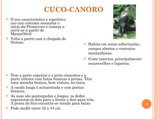 CUCO-CANORO Tem a parte superior e o peito cinzentos e a parte inferior com listas brancas e pretas.  Têm uma mancha branca, bem vistosa, na nuca.  A cauda longa é acinzentada e com pontas brancas.  As asas são pontiagudas e longas, os dedos organizam-se dois para a frente e dois para trás. A ponta do bico encontra-se virada para baixo. Pode medir entre 32 a 34 cm. Habita em zonas arborizadas, campos abertos e vertentes montanhosas. Come insectos, principalmente escaravelhos e lagartas. O seu característico e repetitivo  cuc-cuu  costuma assinalar o início da Primavera e começa a ouvir-se a partir de Março/Abril.  Volta a partir com a chegada do Outono. 