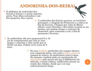 ANDORINHA-DOS-BEIRAIS Os seus  habitats  preferidos são campos abertos com vegetação baixa, tais como  prados ,  pastos  e campos de cultivo, de preferência junto à água.   No entanto, também pode ser encontrada em  montanhas  pelo menos até aos 2 200 metros de altitude, é muito urbana, nidificando mesmo no centro das cidades, desde que o ar seja suficientemente limpo. A andorinha-dos-beirais anuncia, no território português, a chegada da Primavera e o adeus ao frio do Inverno. Chegam por volta de Março /Abril e entre Outubro e Novembro juntam-se em bandos, que podem chegar a centenas de elementos, para rumarem a sul, a fim de passarem o Inverno.  As andorinhas são aves pequenas(13 a 15 cm de comprimento) que têm as asas longas e estreitas e uma cauda que se divide em dois. Podem viver cerca de 8 anos. O abdómen da andorinha-dos-beirais é branco e a parte superior preta. Tem olhos castanhos e um bico pequeno, fino e preto. 