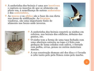A andorinha-dos-beirais é uma ave  insetívora  e captura os insectos de que se alimenta em pleno voo, à semelhança de outras  andorinhas  e dos  andorinhões . As  moscas  e os  afídios  são a base da sua dieta nas áreas de nidificação. As  formigas  voadoras, são uma importante fonte de alimento nos locais onde inverna. A andorinha-dos-beirais constrói os ninhos em celeiros, nos beirais dos edifícios, debaixo das pontes, etc. O ninho tem a forma de uma taça fechada com uma abertura estreita no topo e é feito com pedaços de lama colados com saliva, e forrado com palha, ervas, penas ou outros materiais macios.  A sua construção demora até dez dias e é levada a cabo tanto pelo pela fêmea como pelo macho. 