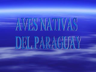 AVES NATIVAS DEL PARAGUAY 