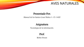 AVES NATURALES
Presentado Por:
Manuel de los Santos Cesar Núñez 1-15-1400
Asignatura
Tecnología de la información.
Prof.
Robín Duran
 