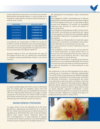 2


evolucionado hasta convertirse en virus virulento que contiene         Son distinguidos cinco patotipos y cepas características
determinados aminoácidos básicos. Lo que se puede ver en               de la EN:
el siguiente cuadro donde se muestran distintos patotipos y       1.   Virus Velogénicos (vvEN). Caracterizada por la infección
sitios de corte: (2,Foll)                                              aguda y letal, en donde se presentan lesiones hemorrágicas
                                                                       en el tracto digestivo de las aves. La cepa Doyle es típica
                                                                       de estos virus velogénicos. De acuerdo a la mortalidad
                                                                       embrinaria estas provocan la muerte del embrión en
                                                                       menos de 60 horas.
                                                                  2.
                                                                       Virus Velogénicos Neurotrópicos (nvEN). Causante de la
                                                                       enfermedad caracterizada principalmente por signos
                                                                       nerviosos agudos, con frecuencia alta mortalidad, seguida
                                                                       por desordenes respiratorios. La cepa Beach es la típica de
                                                                       este patotipo.
                                                                  3.   Virus Mesogénicos. Responsables de moderados signos
Concordando con lo reportado en el 2007 en la reunión de               respiratorios, cursando con mortalidad en aves jóvenes.
la AAAP, en donde en Venezuela se han demostrado algunos               El tipo Beaudette es el característico de esta cepa.
casos que las aves silvestres pueden ser responsables de la            Estas cepas provocan la muerte embrionaria entre las
transmisión de la alta patogenicidad a las cepas de la EN en           60 y 90 horas.
las aves comerciales y de traspatio.(AAAP 07)                     4.   Virus Lentogénicos. Solo se presentan una leve infección
                                                                       en el tracto respiratorio. La cepas Hichner (B1) y La
Recientes trabajos en EUA, han demostrado que cepas de                 Sota son los virus característicos de estos, los cuales son
EN aisladas de otras aves p.ej. palomas han incrementado               usados como vacuna desde los años 40´s. Estas cepas
su virulencia cuando posteriormente infectan a las aves de             matan al embrión en más de 90 horas.
corral.(3)                                                        5.   Virus Entéricos Asintomático. Causantes de una infección
                                                                       intestinal con una no aparente enfermedad. Por lo menos
                                                                       no causan reacciones vacunales en el sistema respiratorio.
                                                                       Las cepas V4 Australiana y la Ulster pertenecen a esta
                                                                       categoría.(3)

                                                                  Esta clasificación es útil con fines descriptivos de las cepas y
                                                                  concuerda con lo encontrado en infecciones experimentales
                                                                  con aves SPF. Existen ciertas cepas que son difíciles de distinguir
                                                                  a que patotipo corresponden y en el campo existen condiciones
                                                                  de infecciones concurrentes e inmunosupresión que actúan
                                                                  como agravantes y cepas más suaves se asemejen a cepas más
                                                                  virulentas.(1) Por lo general la EN puede presentar signos de
                                                                  depresión, diarrea, postración, edema de la cabeza y barbillas.
Un aspecto epidemiológico de la EN es el que la enfermedad        En casos donde se presenta el vvEN, los signos clínicos inician
tiene una amplia gama de huéspedes, tantos como 250               con apatía, depresión, respiración incrementada y muerte.
especies de aves silvestres que son susceptibles de contraer la   Baja en el consumo de alimento y se menciona una reducción
infección y migrar grandes distancias y que juegan un papel       de peso entre 200 y 300g por ave. Seguida de la baja en la
importante en la transmisión. En el Reino Unido la mayoría        producción de huevo entre 7 a 10 días.1,8,10.
de los brotes recientes han sido causados por aves acuáticas
infectadas que han extendido sus sitios de vuelo.(3)

         SIGNOS CLÍNICOS Y PATOLOGÍA

Los signos clínicos en las aves afectadas por la EN varían
grandemente, dependiendo principalmente de la virulencia
del virus. Existen otros factores que son determinantes en la
signología de la enfermedad tales como el tipo de huésped,
especie, edad, estatus inmune, infecciones mixtas con
otros microorganismos y el estrés ambiental. En algunas
circunstancias en donde se presentan virus extremadamente
virulentos quizá el resultado sea mortalidad repentina.(1)
 