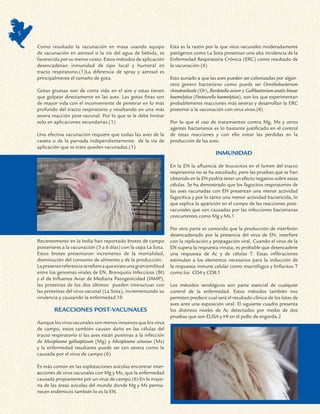 5

    Como resultado la vacunación en masa usando equipo                  Esta es la razón por la que virus vacunales moderadamente
    de vacunación en aerosol o la vía del agua de bebida, es            patógenos como La Sota presentan una alta incidencia de la
    favorecida por su menor costo. Estos métodos de aplicación          Enfermedad Respiratoria Crónica (ERC) como resultado de
    desencadenan inmunidad de tipo local y humoral en                   la vacunación.(6)
    tracto respiratorio.(1)La diferencia de spray y aerosol es
    principalmente el tamaño de gota.                                   Esto aunado a que las aves pueden ser colonizadas por algún
                                                                        otro genero bacteriano como puede ser Ovnithobacterium
    Gotas gruesas son de corta vida en el aire y estas tienen           rhinotracheale (Or), Bordetella avium y Gallibacterium anatis biovar
    que golpear directamente en las aves. Las gotas finas son           haemolytica (Pasteurella haemolytica), son los que experimentan
    de mayor vida con el inconveniente de penetrar en lo más            probablemente reacciones más severas y desarrollan la ERC
    profundo del tracto respiratorio y resultando en una más            posterior a la vacunación con virus vivos.(6)
    severa reacción post-vacunal. Por lo que se le debe limitar
    solo en aplicaciones secundarias.(1)                                Por lo que el uso de tratamientos contra Mg, Ms y otros
                                                                        agentes bacterianos es lo bastante justificado en el control
    Una efectiva vacunación requiere que todas las aves de la           de estas reacciones y con ello evitar las perdidas en la
    caseta o de la parvada independientemente de la vía de              producción de las aves.
    aplicación que se trate queden vacunadas.(1)
                                                                                                INMUNIDAD

                                                                        En la EN la afluencia de leucocitos en el lumen del tracto
                                                                        respiratorio no se ha estudiado, pero las pruebas que se han
                                                                        obtenido en la EN podría tener un efecto negativo sobre estas
                                                                        células. Se ha demostrado que los fagocitos respiratorios de
                                                                        las aves vacunadas con EN presentan una menor actividad
                                                                        fagocítica y por lo tanto una menor actividad bactericida, lo
                                                                        que explica la aparición en el campo de las reacciones post-
                                                                        vacunales que son causadas por las infecciones bacterianas
                                                                        concurrentes como Mg y Ms.1

                                                                        Por otra parte es conocido que la producción de interferón
                                                                        desencadenado por la presencia del virus de EN, interfiere
    Recientemente en la India han reportado brotes de campo             con la replicación y propagación viral. Cuando el virus de la
    posteriores a la vacunación (3 a 6 días) con la cepa La Sota.       EN supera la respuesta innata, es probable que desencadene
    Estos brotes presentaron incremento de la mortalidad,               una respuesta de Ac y de células T. Estas infiltraciones
    disminución del consumo de alimento y de la producción.             estimulan a los elementos necesarios para la inducción de
    La presente referencia se refiere a que existe una gran similitud   la respuesta inmune celular como macrófagos y linfocitos T
    entre los genomas virales de EN, Bronquitis Infecciosa (BI)         como los CD4 y CD8.1
    y el de Influenza Aviar de Mediana Patogenicidad (IAMP),
    las proteínas de los dos últimos pueden interactuar con             Los métodos serológicos son parte esencial de cualquier
    las proteínas del virus vacunal (La Sota), incrementando su         control de la enfermedad. Estos métodos también nos
    virulencia y causando la enfermedad.10                              permiten predecir cual será el resultado clínico de los lotes de
                                                                        aves ante una exposición viral. El siguiente cuadro presenta
            REACCIONES POST-VACUNALES                                   los distintos niveles de Ac detectados por medio de dos
                                                                        pruebas que son ELISA y HI en el pollo de engorda.2
    Aunque los virus vacunales son menos invasivos que los virus
    de campo, estos también causan daño en las células del
    tracto respiratorio si las aves están positivas a la infección
    de Micoplasma gallisepticum (Mg) y Micoplasma sinoviae (Ms)
    y la enfermedad resultante puede ser tan severa como la
    causada por el virus de campo.(6)

    Es más común en las explotaciones avícolas encontrar inter-
    acciones de virus vacunales con Mg y Ms, que la enfermedad
    causada propiamente por un virus de campo.(6) En la mayo-
    ría de las áreas avícolas del mundo donde Mg y Ms perma-
    necen endémicos también lo es la EN.
 