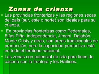 Zonas de crianza Las provincias fronterizas y las regiones secas del país (sur, este o norte) son ideales para su crianza. En provincias fronterizas como Pedernales, Elías Piña, independencia, Jímaní, Dajabón, Monte Cristy y otras, son áreas tradicionales de producción, pero la capacidad productiva está en todo el territorio nacional.  Las zonas con potencial de cría para fines de cacería son la frontera y los Haítises. 