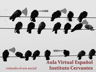 Aula Virtual Español
volando el ave social    Instituto Cervantes
 