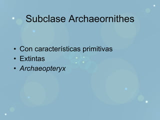 Subclase Archaeornithes Con características primitivas Extintas Archaeopteryx 