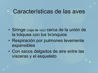 Características de las aves Siringe  (caja de voz)  cerca de la unión de la tráquea con los bronquios Respiración por pulmones levemente expansibles Con sacos delgados de aire entre las vísceras y el esqueleto 