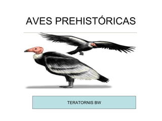 AVES PREHISTÓRICAS




      TERATORNIS BW
 