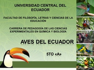 UNIVERSIDAD CENTRAL DEL
ECUADOR
FACULTAD DE FILOSOFÍA, LETRAS Y CIENCIAS DE LA
EDUCACIÓN
CARRERA DE PEDAGOGÍA DE LAS CIENCIAS
EXPERIMENTALES EN QUÍMICA Y BIOLOGÍA
 