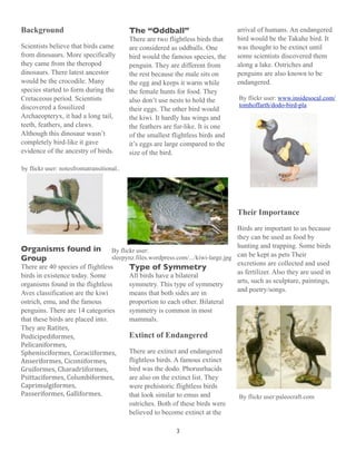 Background                                 The “Oddball”                          arrival of humans. An endangered
                                           There are two flightless birds that    bird would be the Takahe bird. It
Scientists believe that birds came         are considered as oddballs. One        was thought to be extinct until
from dinosaurs. More specifically          bird would the famous species, the     some scientists discovered them
they came from the theropod                penguin. They are different from       along a lake. Ostriches and
dinosaurs. There latest ancestor           the rest because the male sits on      penguins are also known to be
would be the crocodile. Many               the egg and keeps it warm while        endangered.
species started to form during the         the female hunts for food. They
Cretaceous period. Scientists              also don’t use nests to hold the        By flickr user: www.insidesocal.com/
discovered a fossilized                                                            tomhoffarth/dodo-bird-pla
                                           their eggs. The other bird would
Archaeopteryx, it had a long tail,         the kiwi. It hardly has wings and
teeth, feathers, and claws.                the feathers are fur-like. It is one
Although this dinosaur wasn’t              of the smallest flightless birds and
completely bird-like it gave               it’s eggs are large compared to the
evidence of the ancestry of birds.         size of the bird.

by flickr user: notesfromatransitional..




                                                                                  Their Importance
                                                                                  Birds are important to us because
                                                                                  they can be used as food by
                                                                                  hunting and trapping. Some birds
Organisms found in By flickr user:
Group                             sleepynz.files.wordpress.com/.../kiwi-large.jpg can be kept as pets Their
                                                                                  excretions are collected and used
There are 40 species of flightless      Type of Symmetry
                                                                                  as fertilizer. Also they are used in
birds in existence today. Some          All birds have a bilateral
                                                                                  arts, such as sculpture, paintings,
organisms found in the flightless       symmetry. This type of symmetry
                                                                                  and poetry/songs.
Aves classification are the kiwi        means that both sides are in
ostrich, emu, and the famous            proportion to each other. Bilateral
penguins. There are 14 categories       symmetry is common in most
that these birds are placed into.       mammals.
They are Ratites, 
Podicipediformes,                       Extinct of Endangered
Pelicaniformes, 
Sphenisciformes, Coraciiformes,   There are extinct and endangered
Anseriformes, Ciconiiformes,            flightless birds. A famous extinct
Gruiformes, Charadriiformes,            bird was the dodo. Phorusrhacids
Psittaciformes, Columbiformes,          are also on the extinct list. They
Caprimulgiformes,                       were prehistoric flightless birds
Passeriformes, Galliformes.             that look similar to emus and              By flickr user:paleocraft.com
                                        ostriches. Both of these birds were
                                        believed to become extinct at the

                                                            3
 