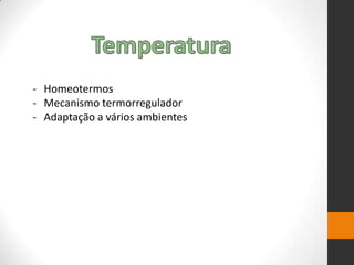 - Homeotermos
- Mecanismo termorregulador
- Adaptação a vários ambientes
 