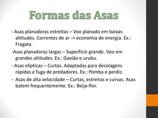 - Asas planadoras estreitas – Voo planado em baixas
altitudes. Correntes de ar -> economia de energia. Ex.:
Fragata.
-Asas planadoras largas – Superfície grande. Voo em
grandes altitudes. Ex.: Gavião e urubu.
- Asas elípticas – Curtas. Adaptadas para decolagens
rápidas e fuga de predadores. Ex.: Pomba e perdiz.
- Asas de alta velocidade – Curtas, estreitas e curvas. Asas
batem frequentemente. Ex.: Beija-flor.
 