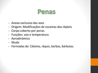 - Anexo exclusivo das aves
- Origem: Modificações de escamas dos répteis
- Corpo coberto por penas
- Funções: voo e temperatura
- Aerodinâmica
- Muda
- Formadas de: Cálamo, ráquis, barbas, bárbulas.
 