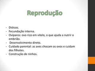 - Dióicos.
- Fecundação interna.
- Ovíparos: ovo rico em vitelo, o que ajuda a nutrir o
embrião.
- Desenvolvimento direto.
- Cuidado parental: as aves chocam os ovos e cuidam
dos filhotes.
- Construção de ninhos.
 