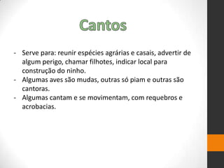 - Serve para: reunir espécies agrárias e casais, advertir de
algum perigo, chamar filhotes, indicar local para
construção do ninho.
- Algumas aves são mudas, outras só piam e outras são
cantoras.
- Algumas cantam e se movimentam, com requebros e
acrobacias.
 